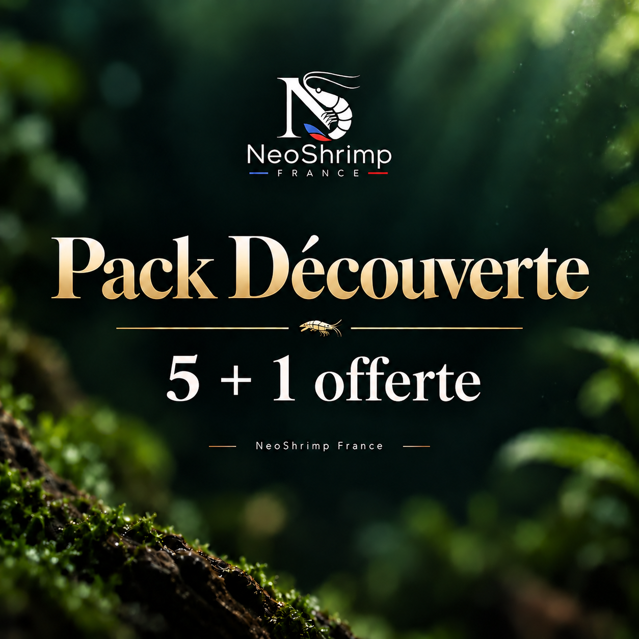 Pack Découverte 5+1 offerte – NeoShrimp France